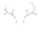 logo_faustine_suray